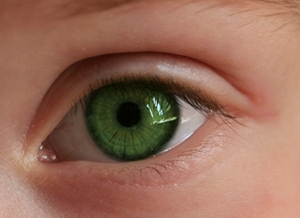 контактные линзы для зеленых глаз