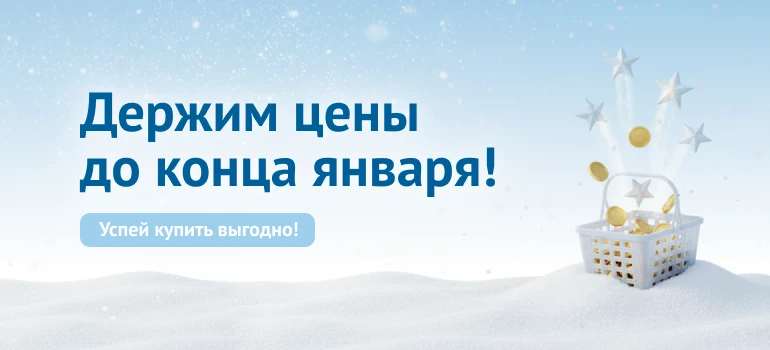Держим цены до конца января!