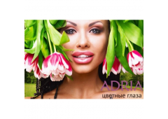 COLOR BOX ADRIA Glamorous