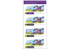 Контактные линзы ADRIA Sport (6 линз)