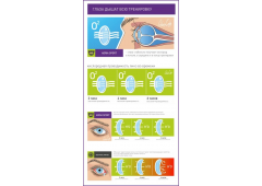 Контактные линзы ADRIA Sport (6 линз)