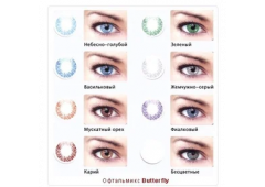 Цветные контактные линзы Ophthalmix Butterfly 1 Tone (2 линзы)