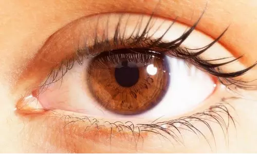 Карие глаза: что нужно знать об этом удивительном цвете глаз