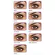 Цветные контактные линзы FreshLook ColorBlends (2 линзы) Цветные контактные линзы FreshLook ColorBlends (2 линзы)